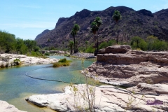 Bower Media Trail of Missions D6-45