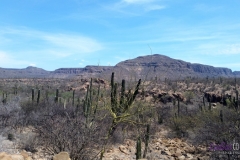 Bower Media Trail of Missions D6-7