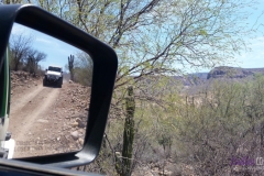 Bower Media Trail of Missions D6-9