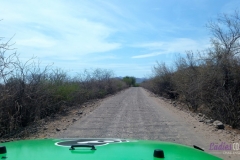 Bower Media Trail of Missions D7-13