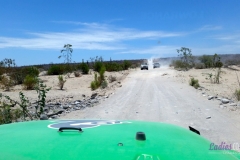 Bower Media Trail of Missions D8-100