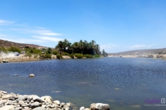 Bower Media Trail of Missions D8-103