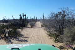 Bower Media Trail of Missions D8-124