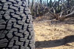 Bower Media Trail of Missions D8-125