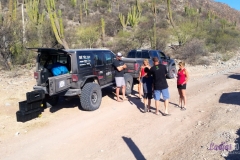 Bower Media Trail of Missions D8-13