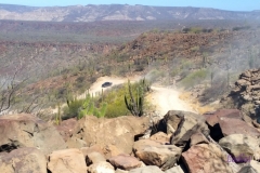 Bower Media Trail of Missions D8-29