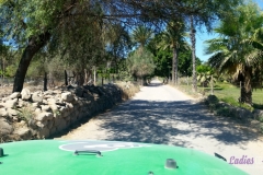 Bower Media Trail of Missions D8-42