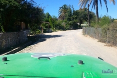 Bower Media Trail of Missions D8-43