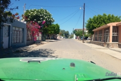 Bower Media Trail of Missions D8-44