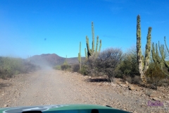 Bower Media Trail of Missions D8-8