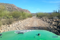 Bower Media Trail of Missions D8-9