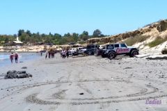 Bower Media Trail of Missions D8-96