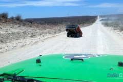 Bower Media Trail of Missions D8-99