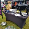 Ann Woodward_s Ladies Day Story, LON Content(4)