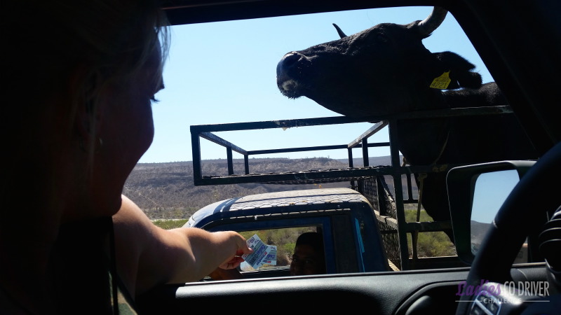 Trail of Missions – DAY 8 – 2016 Ladies Co-Driver Challenge – Event 1