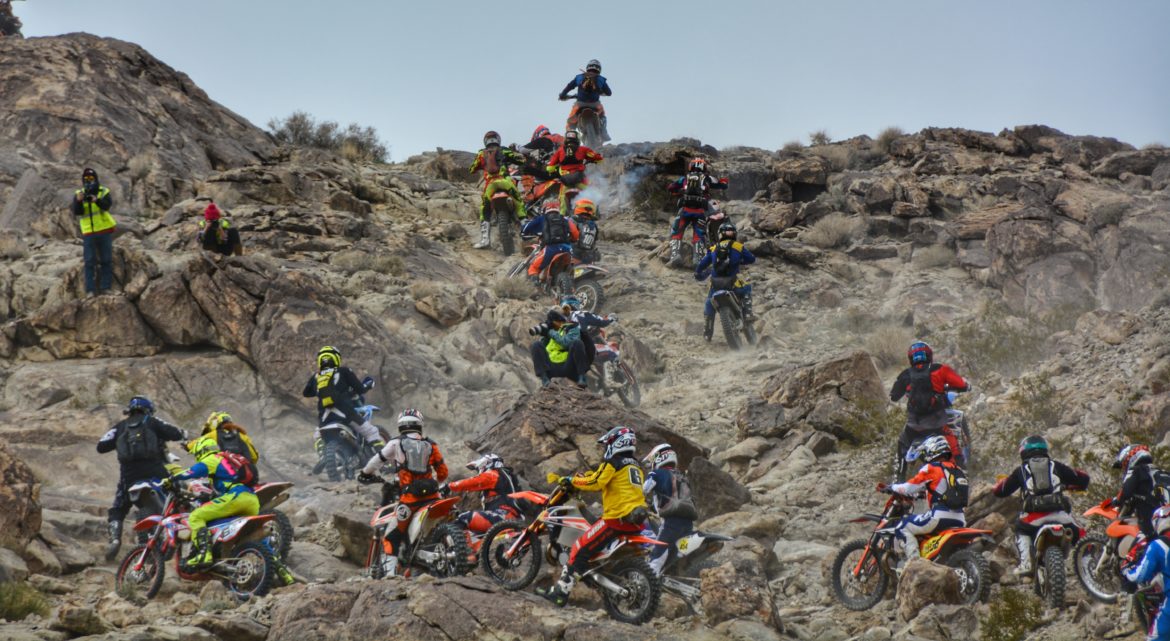 King of the Motos is My Kind of Race – Kate Schade