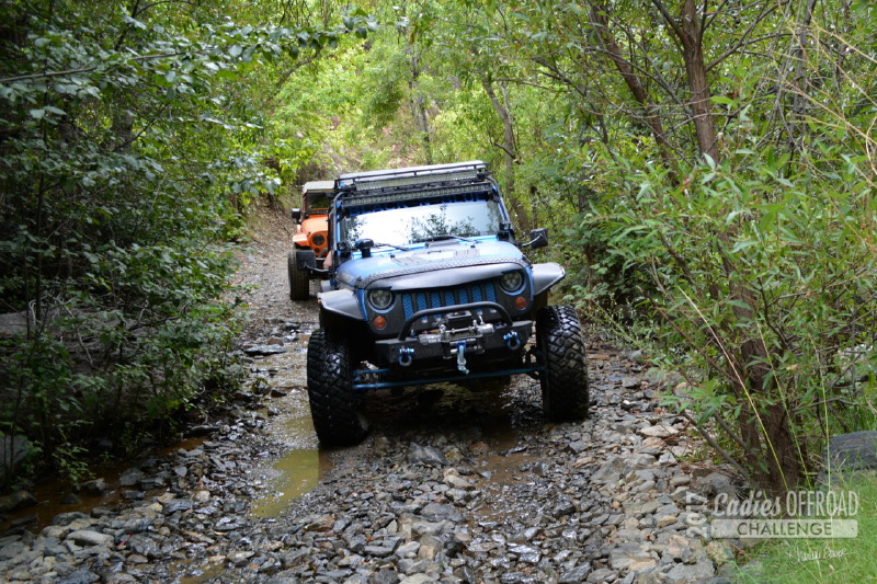 Audrey-Byrd-2017-LOC-Wild-Wheeling-Weekend