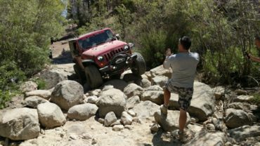 Amy Volmer-LON Member