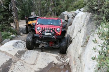 Amy Volmer-LON Member