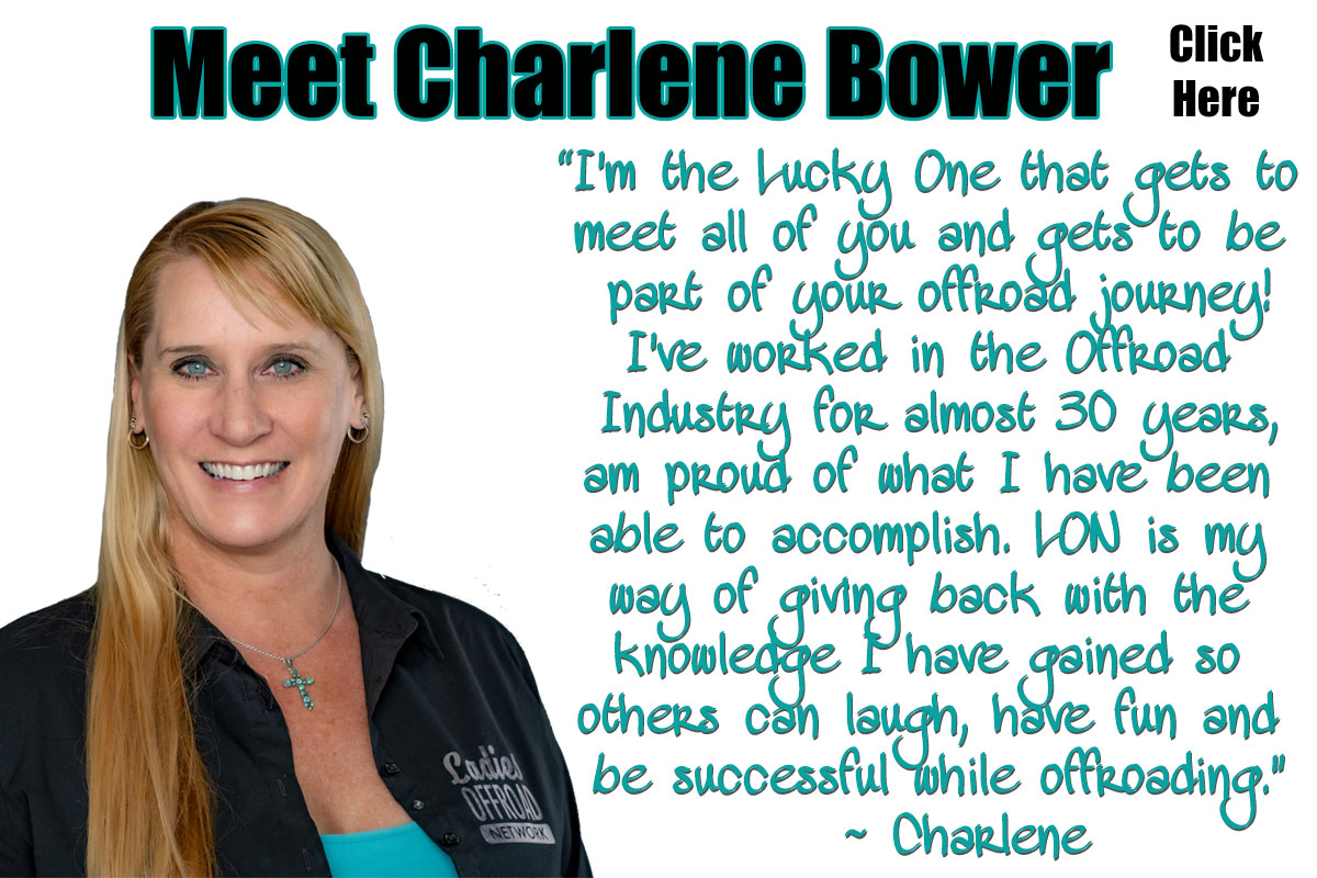 Meet Charlene Bower